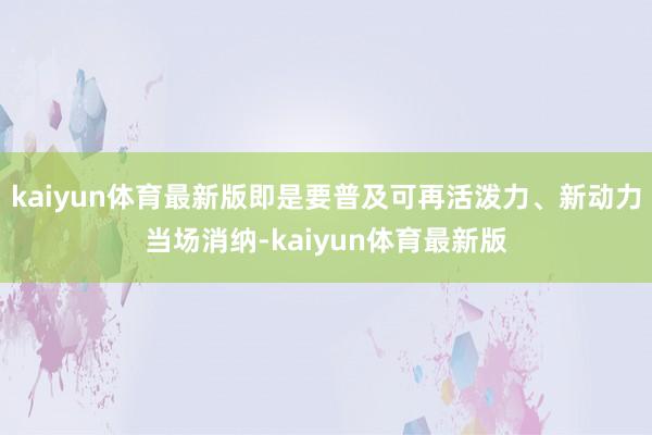 kaiyun体育最新版即是要普及可再活泼力、新动力当场消纳-kaiyun体育最新版