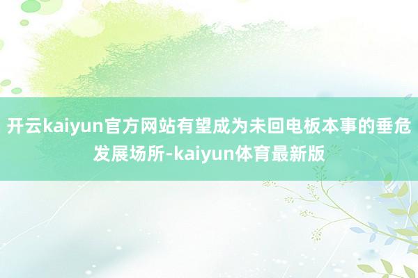 开云kaiyun官方网站有望成为未回电板本事的垂危发展场所-kaiyun体育最新版