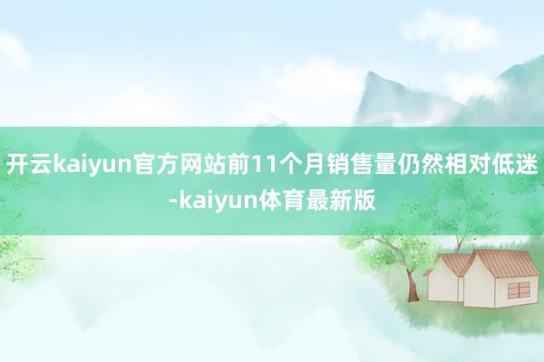 开云kaiyun官方网站前11个月销售量仍然相对低迷-kaiyun体育最新版