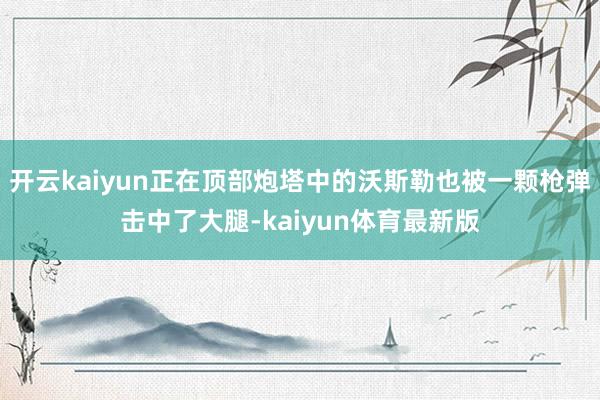 开云kaiyun正在顶部炮塔中的沃斯勒也被一颗枪弹击中了大腿-kaiyun体育最新版