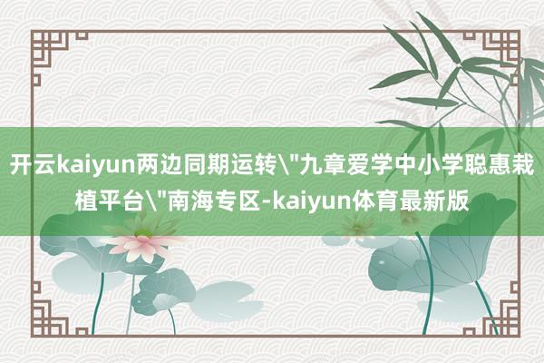开云kaiyun两边同期运转