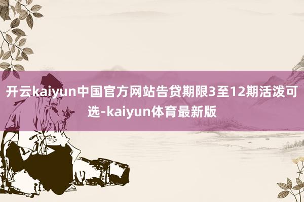 开云kaiyun中国官方网站告贷期限3至12期活泼可选-kaiyun体育最新版