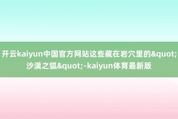 开云kaiyun中国官方网站这些藏在岩穴里的"沙漠之狐"-kaiyun体育最新版