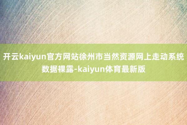 开云kaiyun官方网站徐州市当然资源网上走动系统数据裸露-kaiyun体育最新版